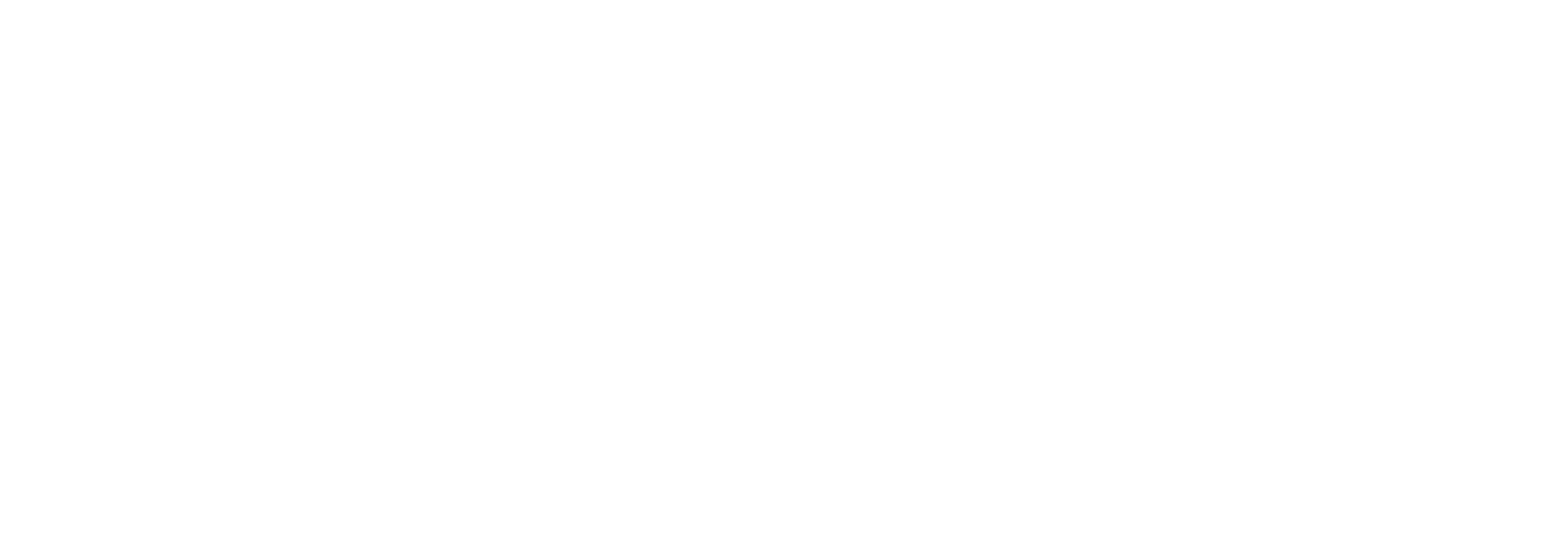 Speedlogo_bncotrans