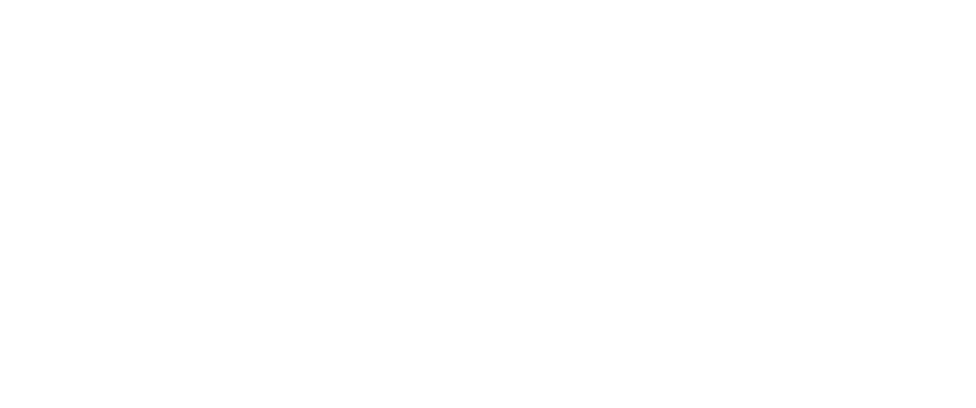 speedlink_logoblanco (1)